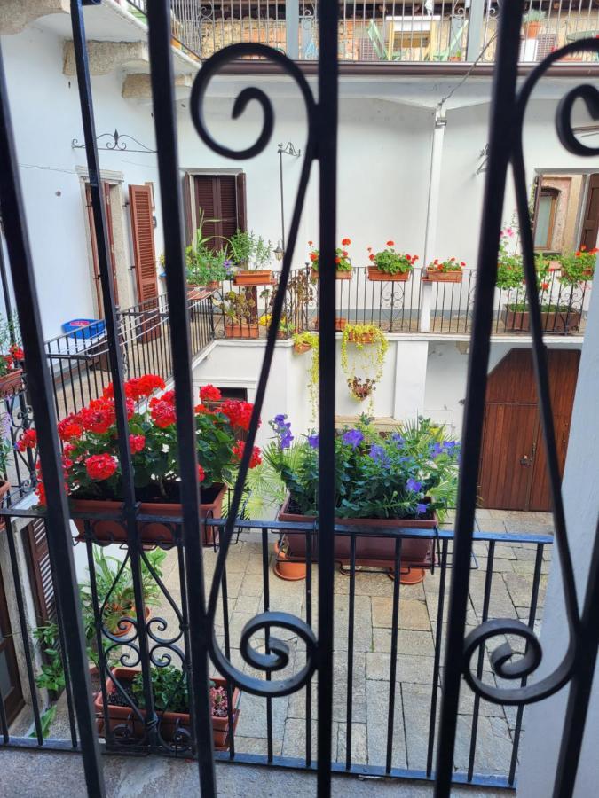 Casa Onorina, Relax E Tranquillita Sul Lago D'Orta Bolzano Novarese Exterior foto